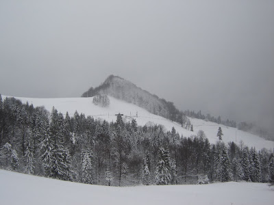 DSC07328.JPG
