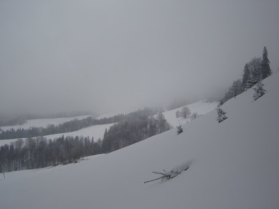 DSC07350.JPG