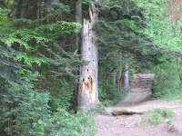 photo2009-05-23T10:53:58-000481.JPG