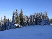 img_9533.jpg