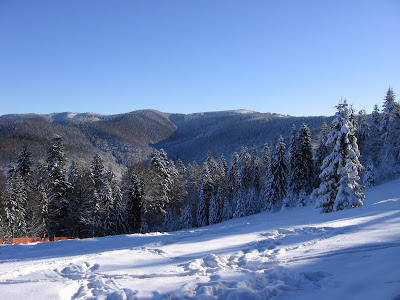 img_9505.jpg