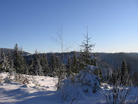 img_9536.jpg