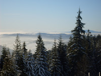 sdc11164.jpg