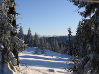 img_9540.jpg