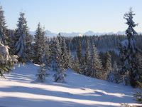 img_9541.jpg