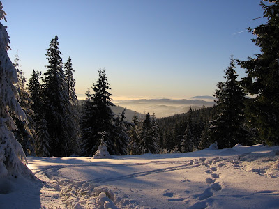 img_9553.jpg