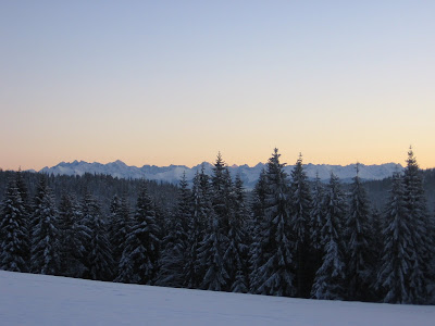 img_9560.jpg