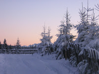 img_9561.jpg
