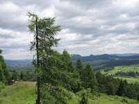 IMG_3812.JPG