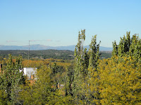 PB040217.JPG