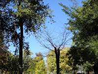 PB050516.JPG