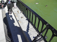 PB050417.JPG