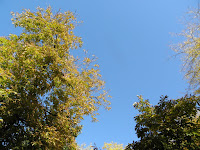 PB050432.JPG