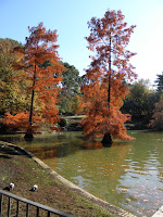 PB050478.JPG