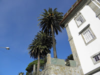 PB071310.JPG