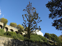 PB070394.JPG