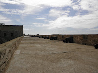 P2140859.JPG