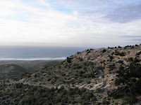 P2141037.JPG