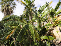 P2130406.JPG