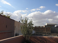 P2120019.JPG