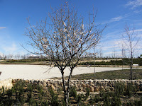 P2221274.JPG