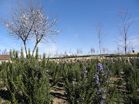 P2221280.JPG
