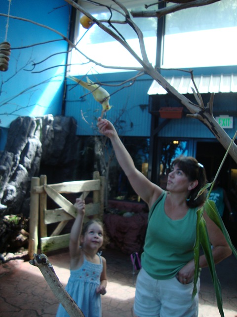 [DSC02232[5].jpg]