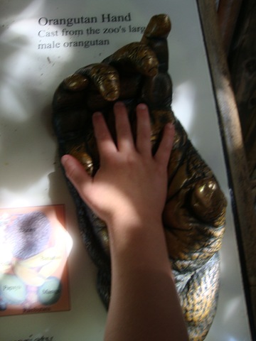 [DSC02279[2].jpg]