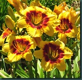 DSCF6405 DSCF6405