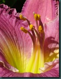 DSCF6444 DSCF6444