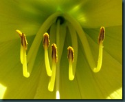 DSCF6421 DSCF6421