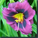 DSCF6322 DSCF6322