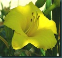 DSCF6361 DSCF6361