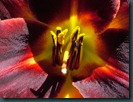 DSCF6403 DSCF6403