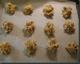 cookie ready cookie ready