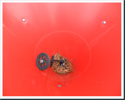 RED what is this012011 (1) RED what is this012011 (1)