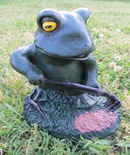 IMG_0461 IMG_0461