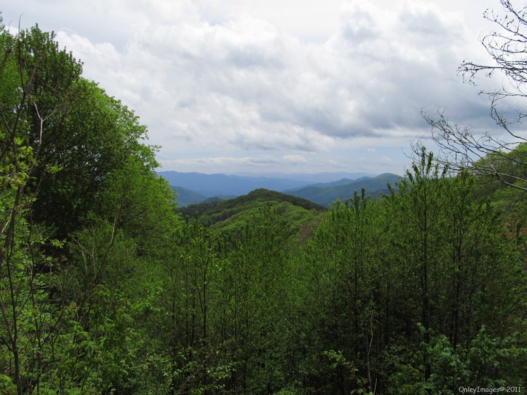 [GSMNP-view17.jpg]