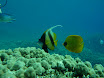 P1030550.JPG