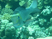 P1030641.JPG