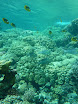 P1030645.JPG