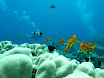 P1030656.JPG