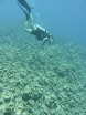 P1030756.JPG