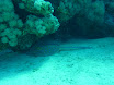 P1030843.JPG