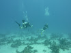 P1030854.JPG