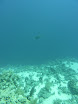 P1030954.JPG