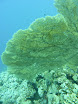 P1040045.JPG