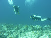 P1040056.JPG