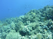 P1040107.JPG