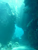 P1040145.JPG